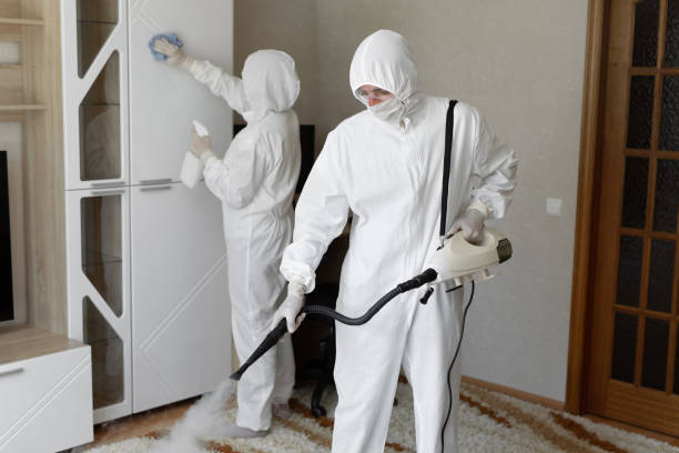 24/7 Emergency Odor Removal experts in Mountain View, WY